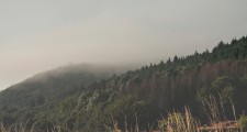 20140902
