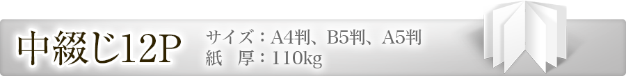 演奏会プログラム：中綴じ12P