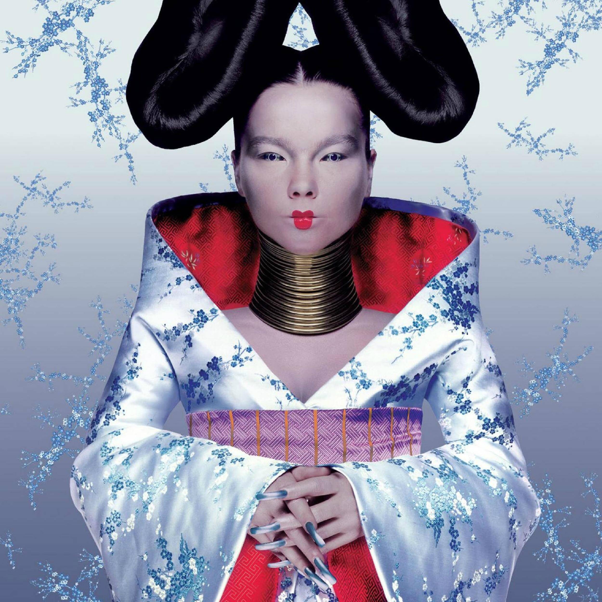 CDジャケットデザイン｜Bjork