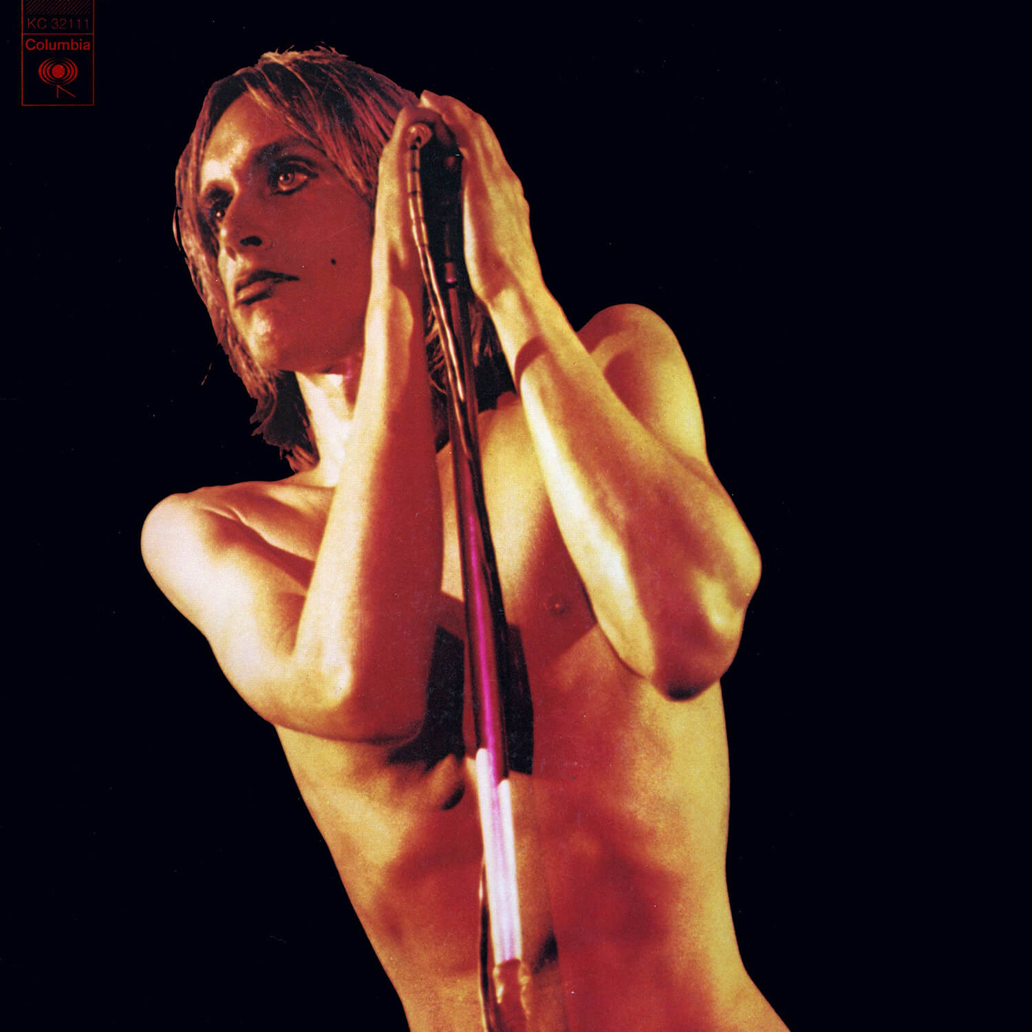 CDジャケットデザイン｜Iggy and The Stooges