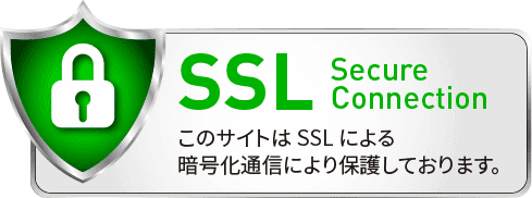 SSL secure connection